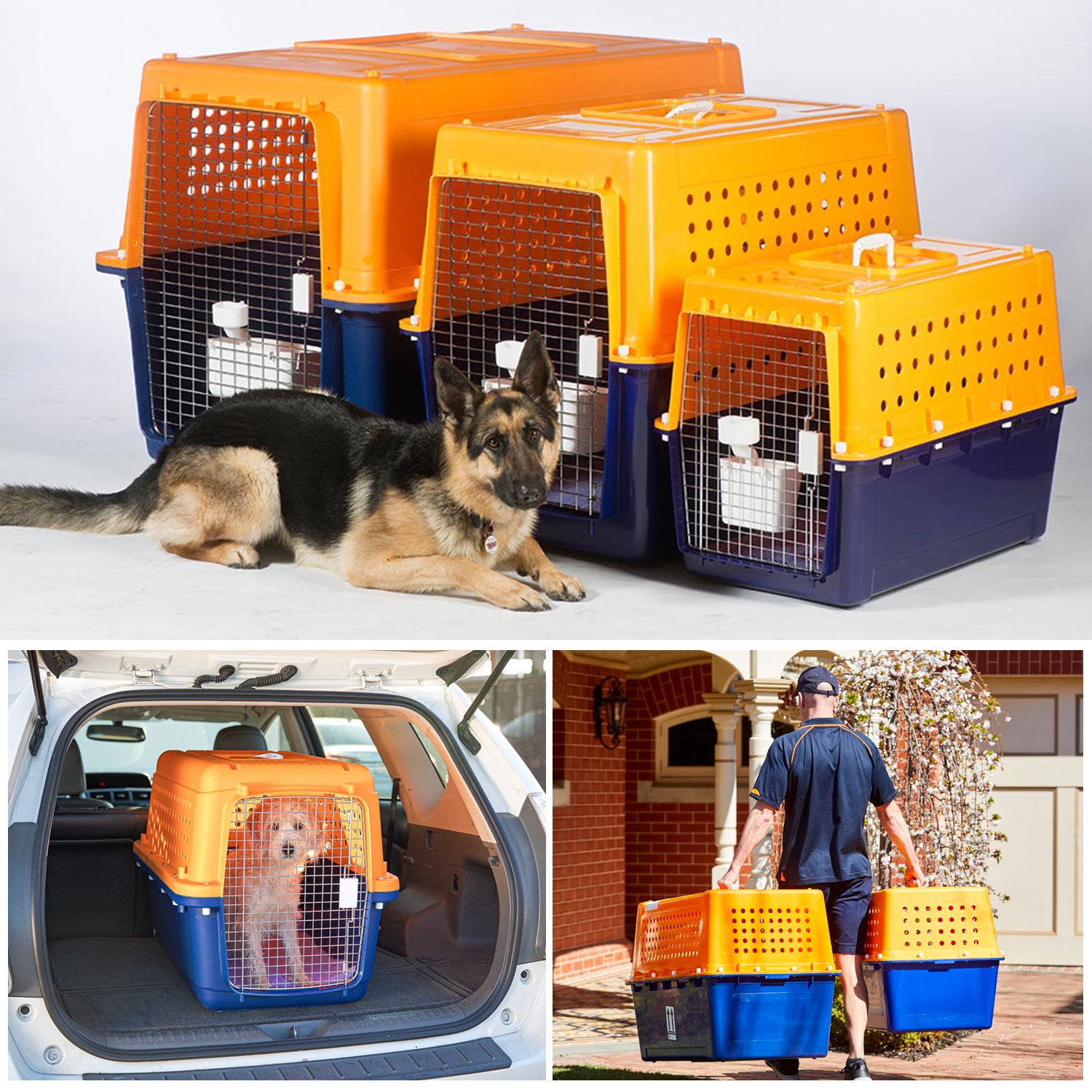 Pet Crate | Pet-Express