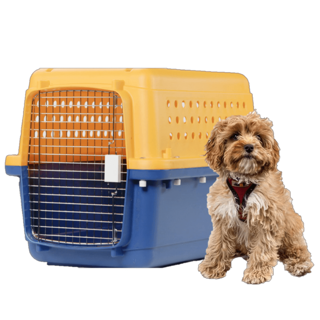 Pet Crate | Pet-Express