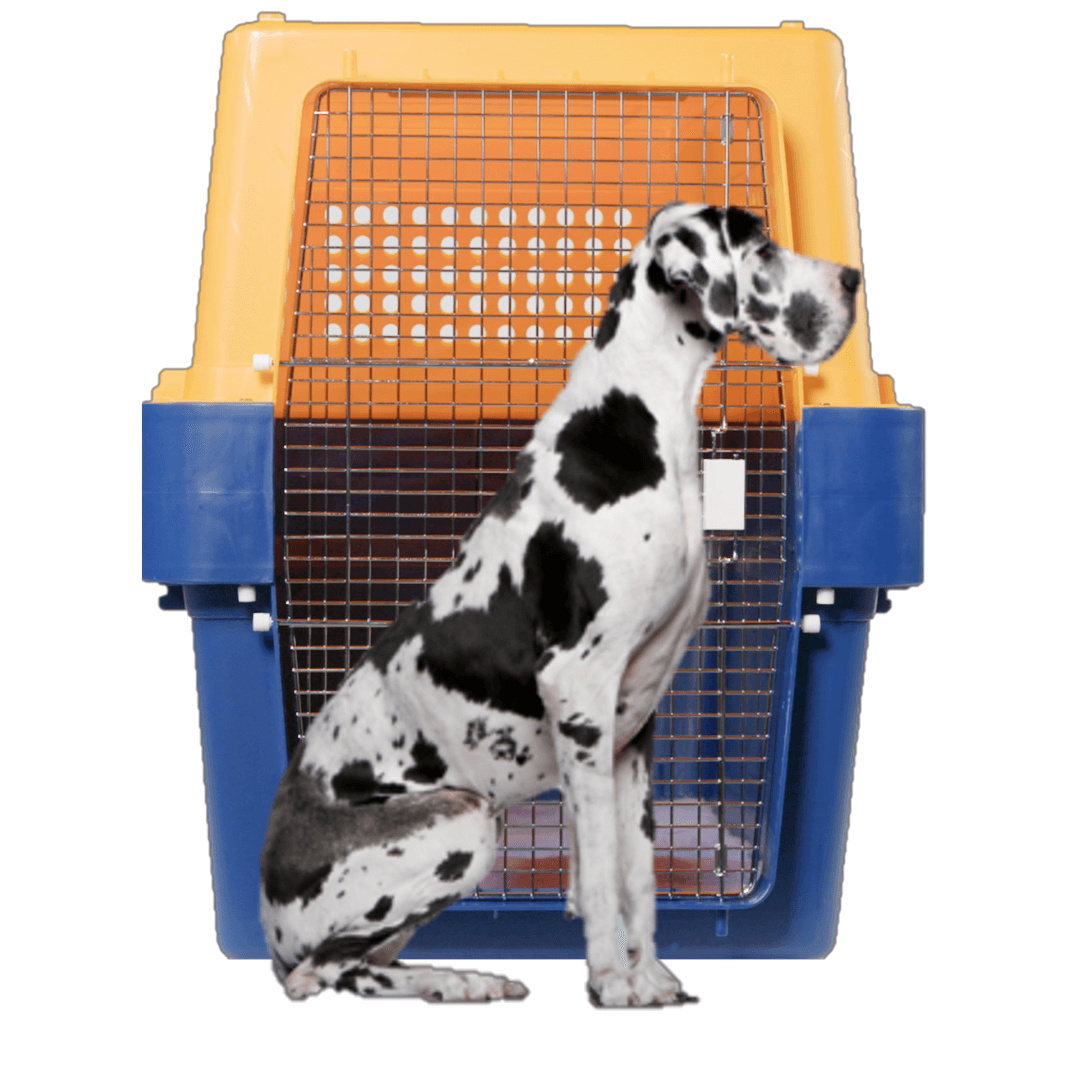 Pet Crate | Pet-Express